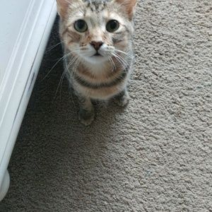 Meet your Posher, Jane